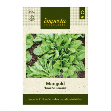 Mangold 'Perpetual Spinach'
