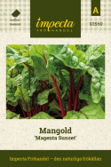 Mangold 'Magenta Sunset', Späda blad och stjälkar är goda och dekorativa i sallader medan fullt utvuxna blad tillagas som spenat.
