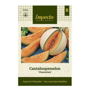 Cantaloupemelon 'Charentais'