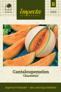 Cantaloupemelon 'Cantalupo di Charentais', ljusa, radmönstrade frukter.