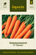 Sommarmorot F1 'Flyaway', Halvlång, med lätt konisk rot, söt med fin färg.