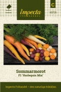 Sommarmorot F1 'Harlequin Mix', blandning av tidiga sommarmorötter.