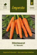 Höstmorot F1 'Nairobi', Stora, långa, väl genomfärgade, orange rötter med söt, krispig smak och liten märg.