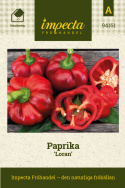 Paprika 'Loran', Mognar från grönlila till djupt rött. Söta och krispiga, fulla med arom. 