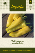 Chilipeppar Sweet Banana Gula, bananlika, sötstarka, frukter. Mogna blir röda