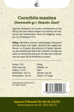 Mammutpumpa 'Atlantic Giant' Impecta Fröpåse odlingsanvisning