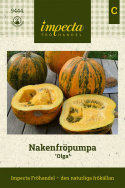Nakenfröpumpa 'Olga', Gröngula frukter. Skalfria, oljerika frön med nötig smak.