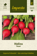 Rädisa 'Raxe', Runda, klarröda rötter med vitt, krispigt fruktkött med fint pepprig smak.