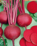 Rödbeta 'Detroit Dark Red 2', Rund, mörkröd. Pålitlig sort för färskkonsumtion.
