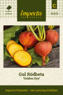 Gul Rödbeta ''Golden Eye''