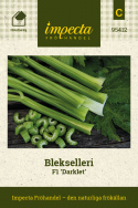 Blekselleri F1 'Darklet', Används färsk eller tillagad. Tidig och snabbväxande.
