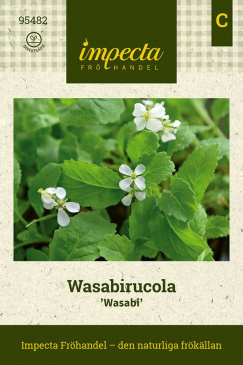 Wasabirucola 'Wasabi' Impecta Fröpåse
