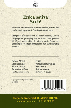Rucolasallat 'Apollo' Impecta fröpåse odlingsanvisning