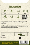 Huvudsallat Herkules, Mycket stora, huvuden med friskt gröna, buckliga blad