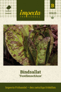 Bindsallat ''Forellenschluss'' fläckig sallat i rödbrunt och grönt