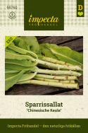 Sparrissallat ''Chinesische Keule'', krispiga bladstjälkar, rik på vitaminer