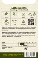 Drivsallat 'Gustav's Salad' löst bundna huvuden med stora, friskt gröna blad
