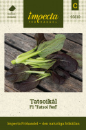 Tatsoikål F1 ''Tatsoi Red'', rubinröda blad med gröna stjälkar i täta rosetter.