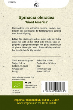 Spenat 'Giant America' fröpåse baksida Impecta