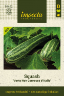 Squash 'Verte Non Coureuse d'Italie', Mörkgröna, långa frukter med ljusa strimmor och fast, vitt fruktkött.