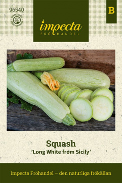 Squash 'Long White from Sicily' fröpåse Impecta