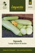 Squash 'Long White from Sicily' Ljust grön zucchini med vitt fruktkött