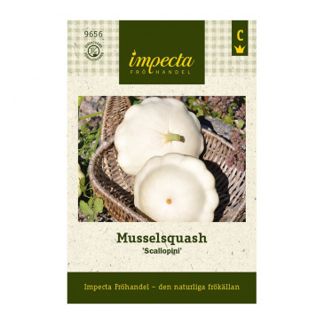 Musselsquash 'Scallopini'