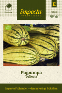 Pajpumpa 'Delicata' ovala gula frukter med gröna ränder. 