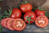 Tomat F1 'Bauna' uppskuren röd tomat, närbild