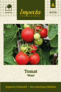 Tomat 'Maja', högre busktomat med fin skörd av runda, klarröda frukter på ca 80 gram.
