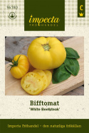 Bifftomat 'White Beefsteak' stor citrongul tomat med randig struktur