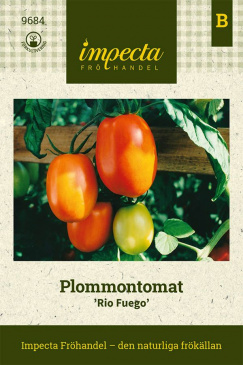 plommontomat-rio-fuego,  fröpåse Impecta