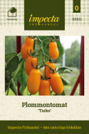 Plommontomat 'Taiko', klasar med långsmala, solgula frukter på ca 30 gram med mild och fin sötma.