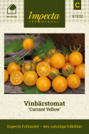 Vinbärstomat ''Currant Yellow'', pärlband av små, gula tomater.