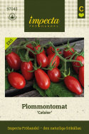 Plommontomat 'Celsior', miniplommontomat med små, klarröda frukter i varierande, avlång form på ca 15 gram.