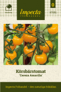 Körsbärstomat 'Cereza Amarilla', fin balans mellan sötma och syra. Ovanlig körsbärstomat med potatisbladigt bladverk. 