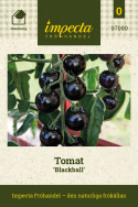 Tomat 'Blackball', frukter på ca 50 gram med väl genomfärgat, saftigt fruktkött och delikat smak.