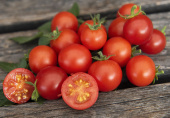 Körsbärstomat 'Veranda Red' röd liten uppskuren tomat, närbild