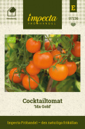 Cocktailtomat ''Ida Gold'', intensivt orange busktomat. Tidig och kompakt.