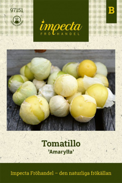 Tomatillo Amarylla fröpåsar Impecta