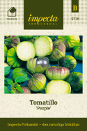 Tomatillo 'Purple' med purpurblå frukter i lyktlika höljen. 