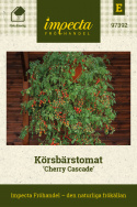 Körsbärstomat ''Cherry Cascades'', Meterlånga rankor med långa klasar med tomate