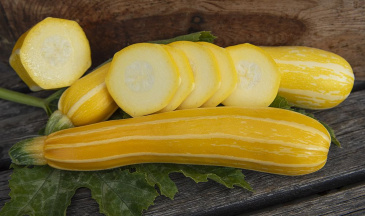  Squash F1 'Sunstripe' uppskuren, gult fast fruktkött