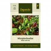 Miniplocksallat Baby Leaf mix
