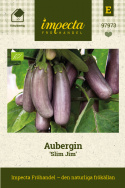 Aubergin 'Slim Jim', vitt fruktkött med fin smak, helt bitterfri. Rikgivande sort för bädd eller krukor på varma, skyddade lägen.