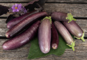 Aubergin 'Slim Jim', vitt fruktkött med fin smak, helt bitterfri. Rikgivande sort för bädd eller krukor på varma, skyddade lägen.