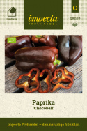Paprika 'Chocobell', Glänsande, mörkt brunvioletta frukter på upp till ca 160 gram.