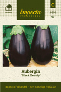 Aubergin ''Black Beauty'' droppformad svart, med stora blad och växer på stam