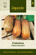 Foderbeta 'Yellow Eckendorf' brungrön beta med gröna blad på ljusgula stjälkar