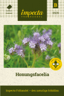 Honungsfacelia lila små blommor med flera blommor på samma stjälk